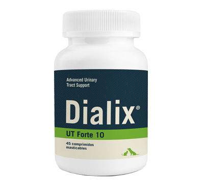 DIALIX UT 10 Forte 1 – VetNova