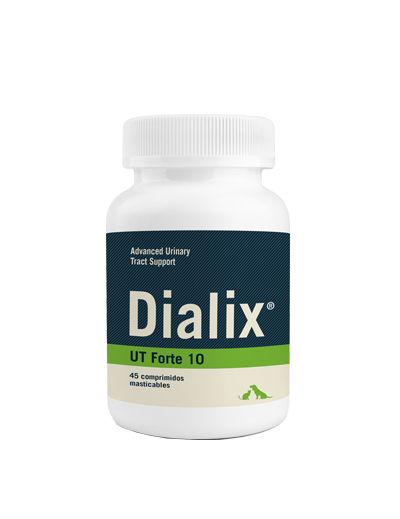 DIALIX UT 10 Forte – VetNova