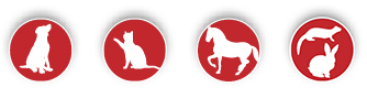 pictogramas animales Pep