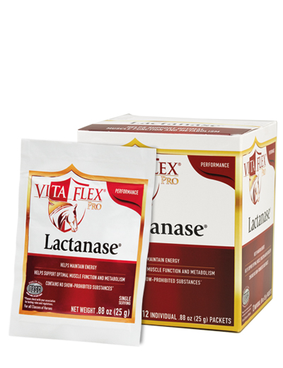 LACTANASE – VetNova