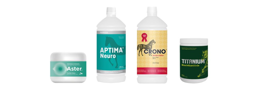 bodegon sorteo copia
