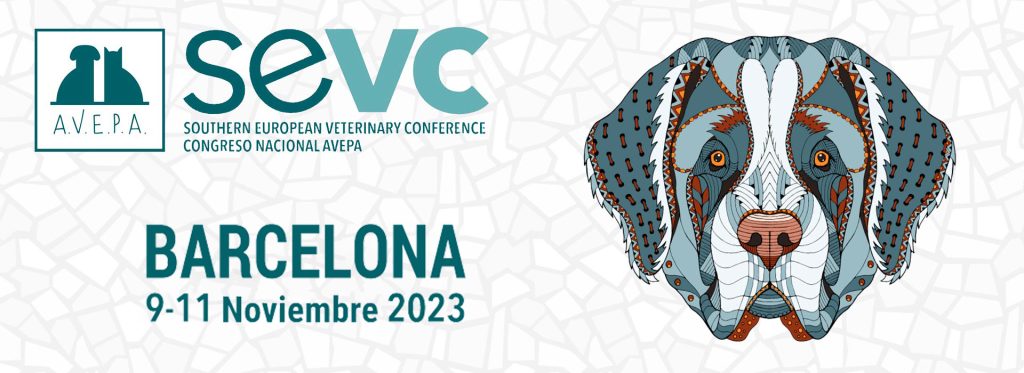 sevc sevilla 2023