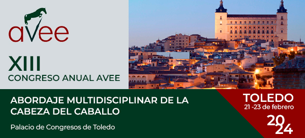 XIII CONGRESO ANUAL AVEE copia