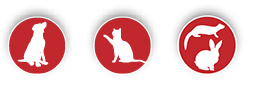 Dog, Cat, Exotic