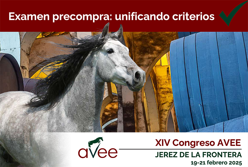 XIV Congreso anual AVEE copia
